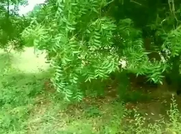 hindi forest sex videos
